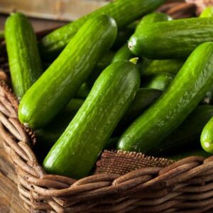 FRESH GREEN CUCUMBER (southekayi)