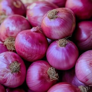 FRESH ONION (eerulli)